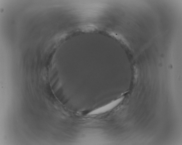 X0000076451445200610202323