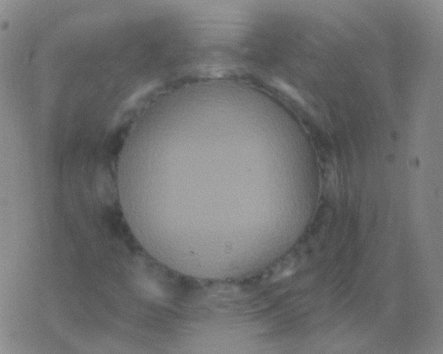 X0000076451446200610202323