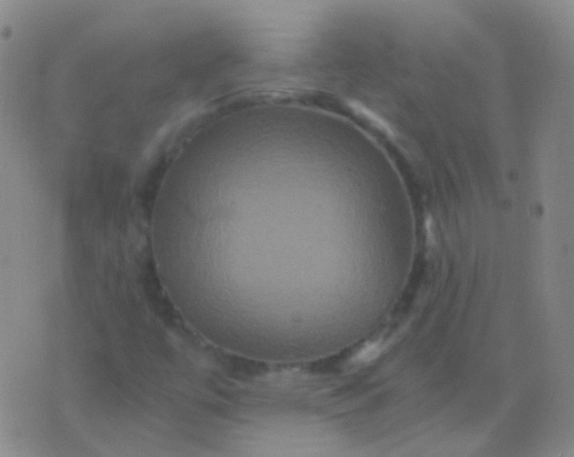 X0000076451447200610202323