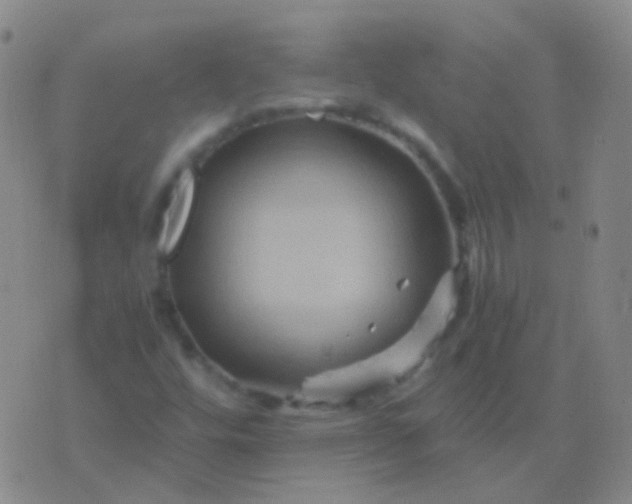 X0000076451448200610202323