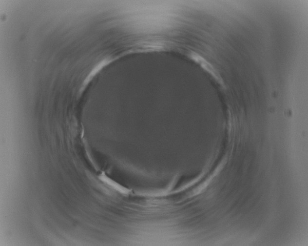 X0000076451449200610202323