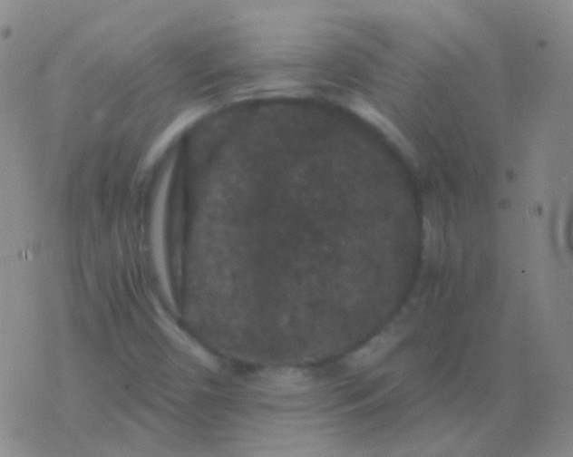 X0000076451450200610202323