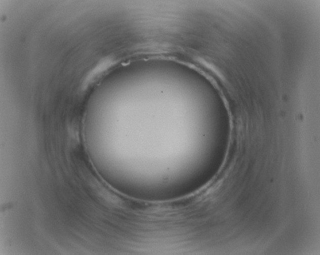 X0000076451451200610202323