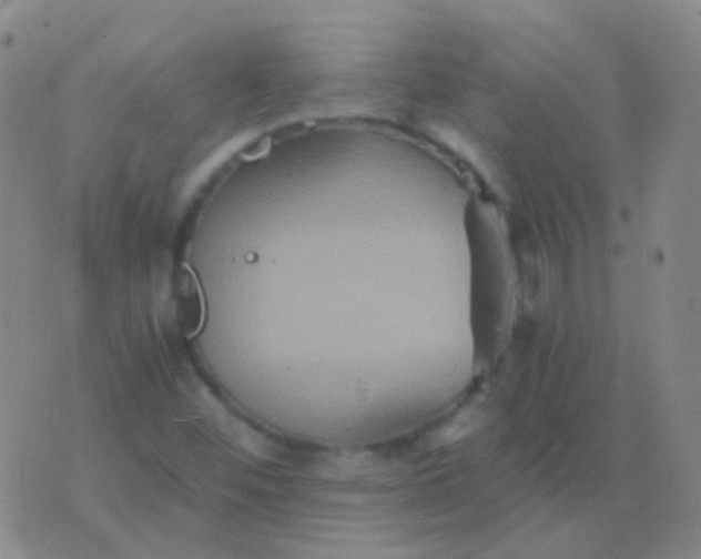 X0000076451452200610202323