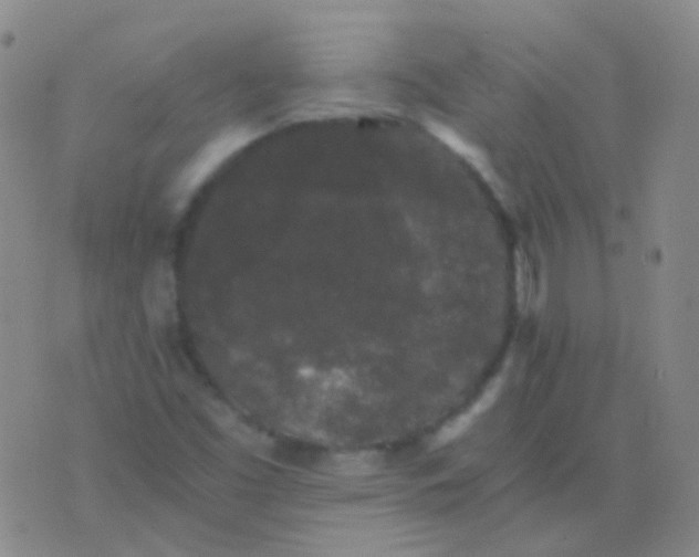 X0000076451453200610202323