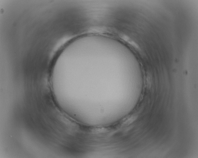 X0000076451454200610202323