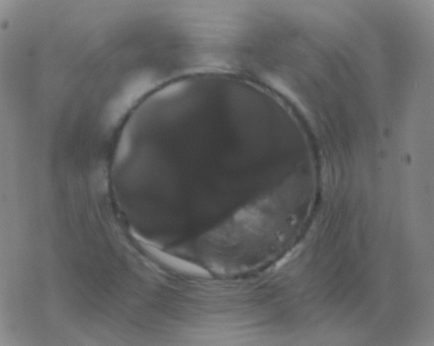 X0000076451455200610202323