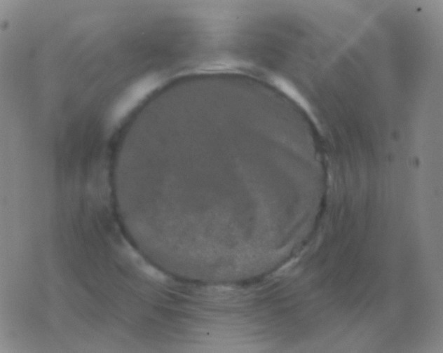 X0000076451456200610202323