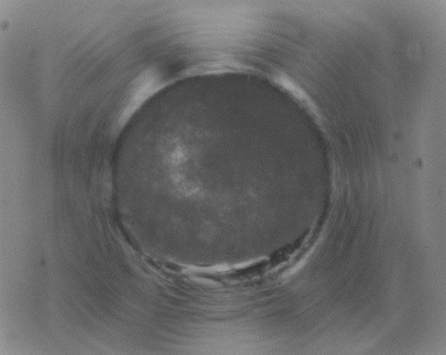 X0000076451457200610202323