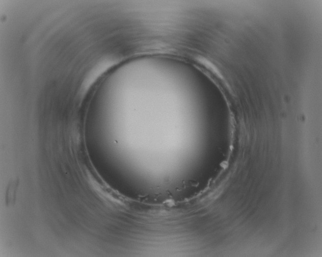 X0000076451458200610202323