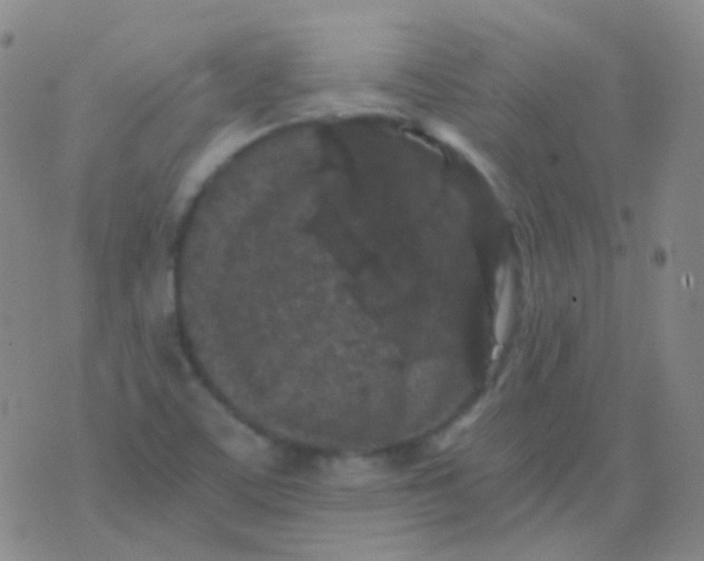 X0000076451459200610202323