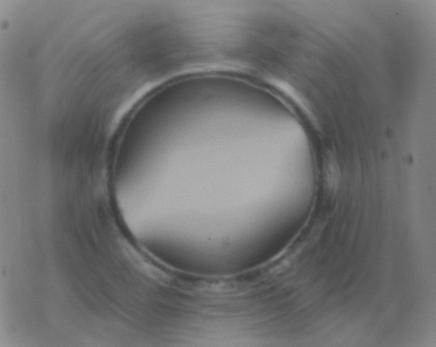 X0000076451460200610202323