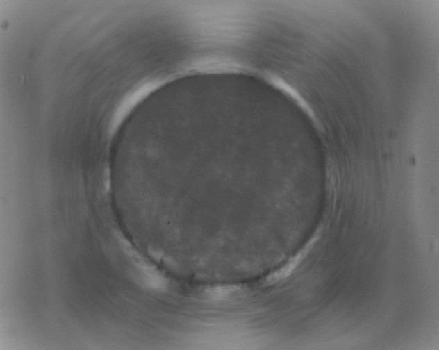 X0000076451461200610202323