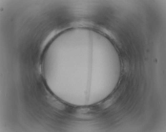 X0000076451462200610202323