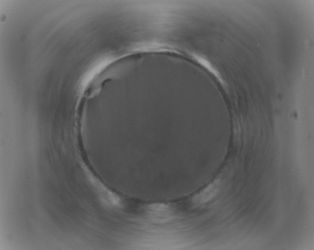 X0000076451463200610202323