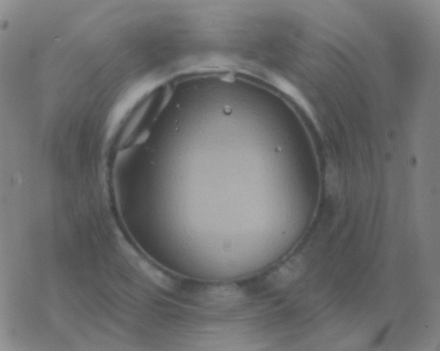 X0000076451464200610202323