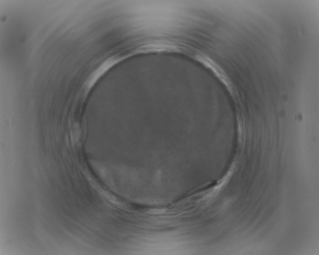 X0000076451465200610202323