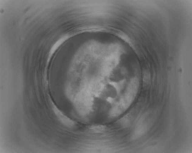 X0000076451466200610202323