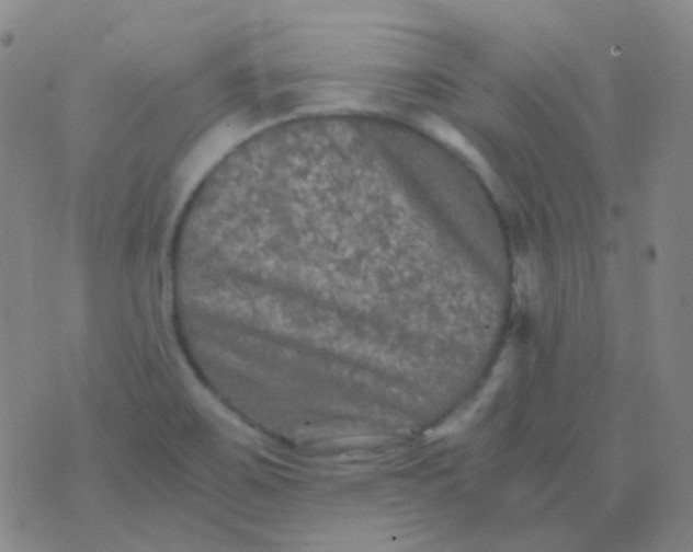 X0000076451467200610202323