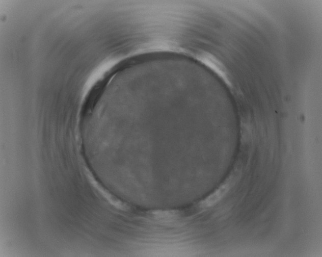 X0000076451469200610202322