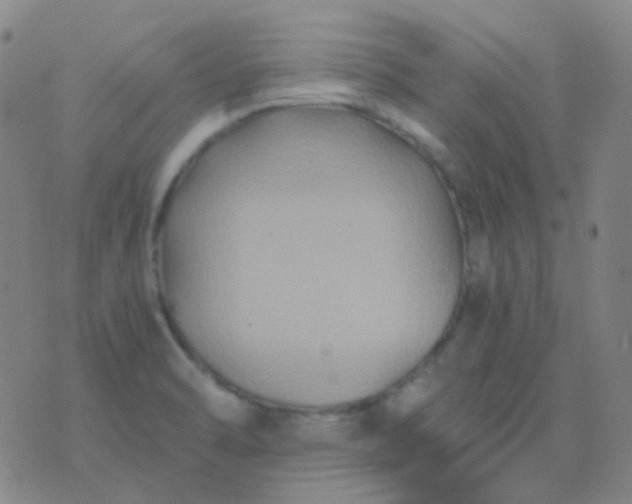 X0000076451470200610202322