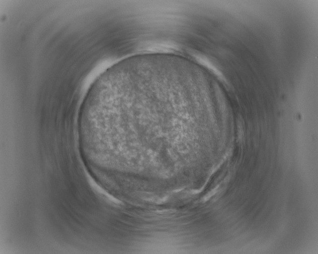 X0000076451471200610202322