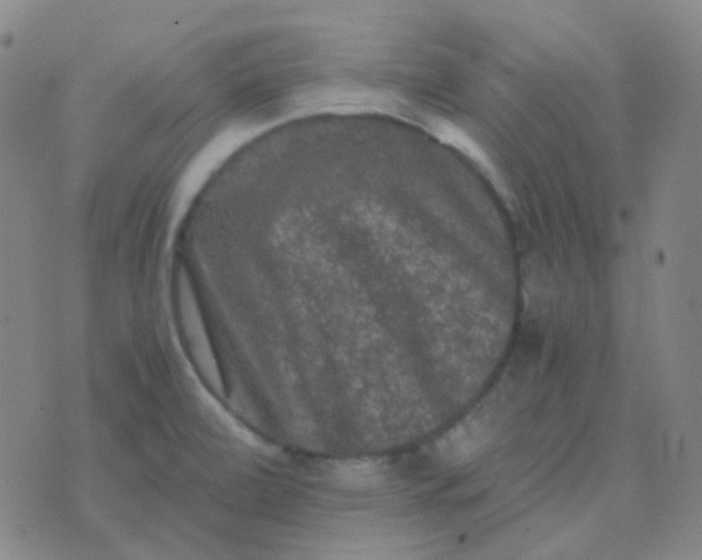 X0000076451472200610202322