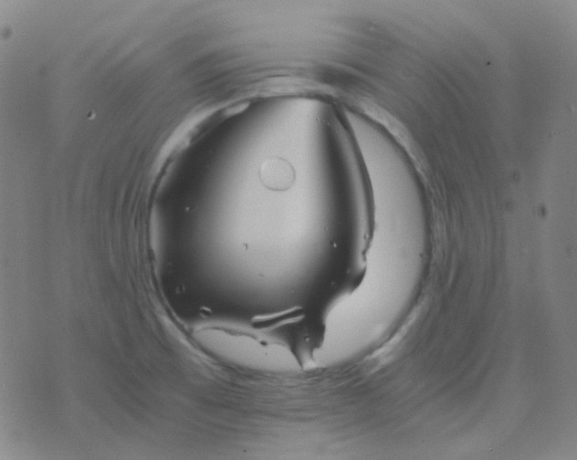 X0000076451473200610202322