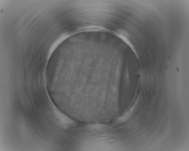 X0000076451474200610202322