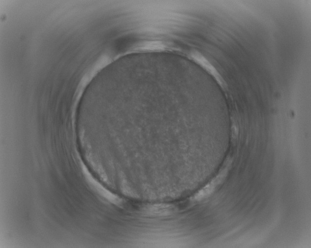 X0000076451475200610202322