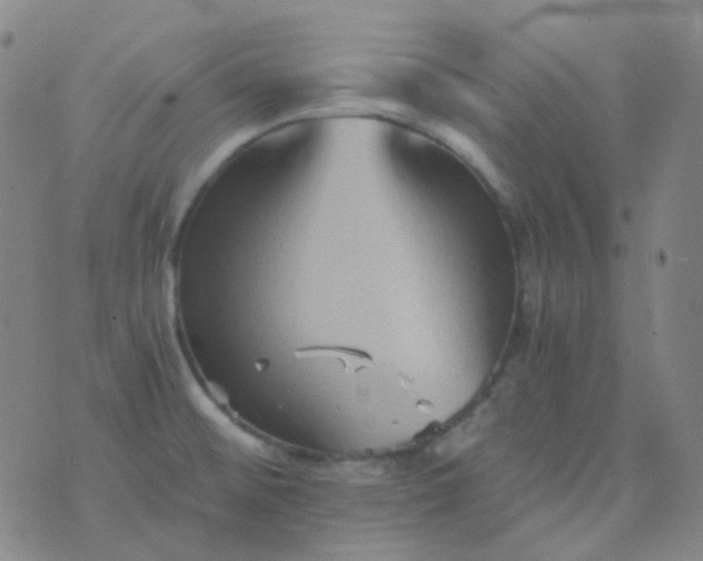 X0000076451476200610202322