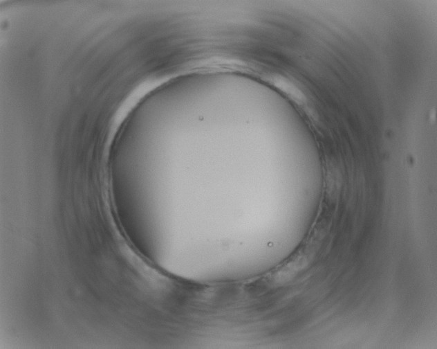 X0000076451478200610202322