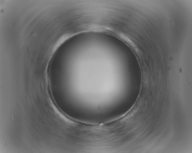 X0000076451479200610202322