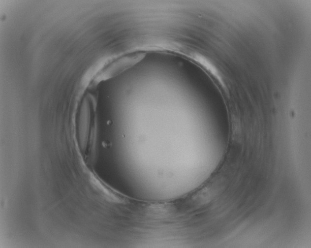 X0000076451480200610202322