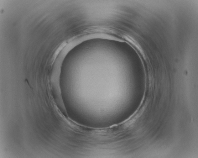 X0000076451481200610202322