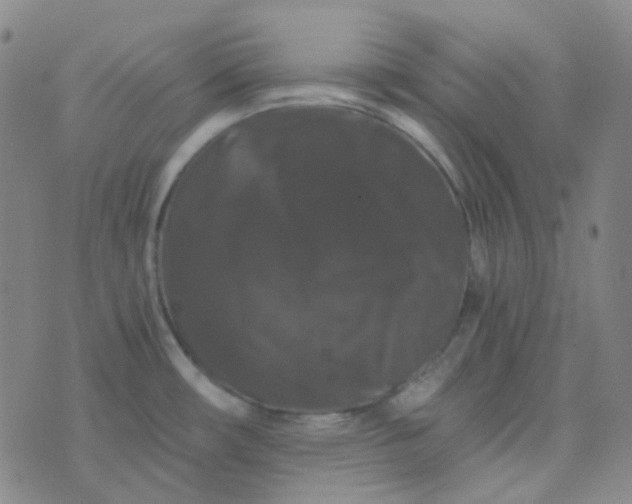 X0000076451482200610202322