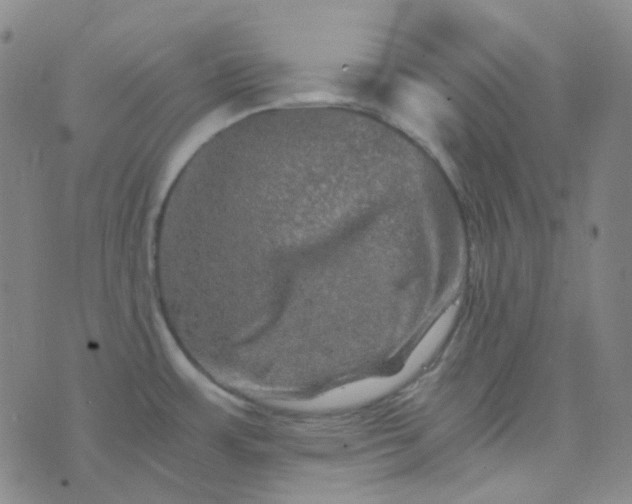 X0000076451483200610202322