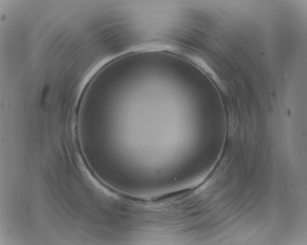 X0000076451484200610202322