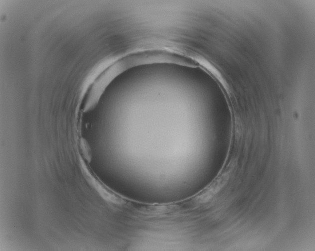 X0000076451485200610202322