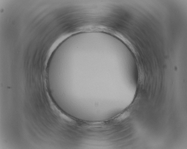 X0000076451486200610202322