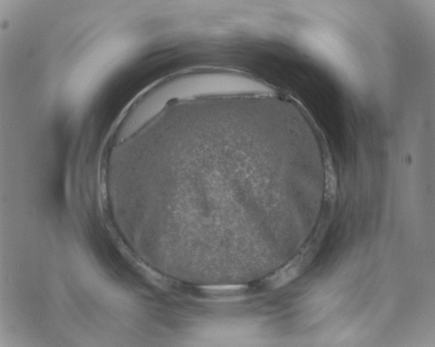 X0000076451487200610202322