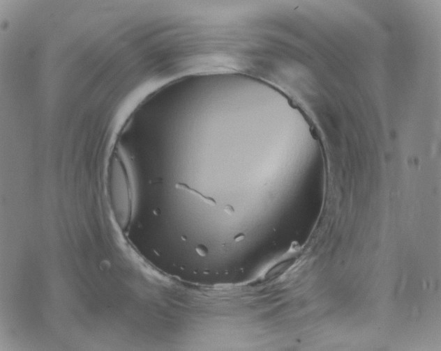 X0000076451488200610202322