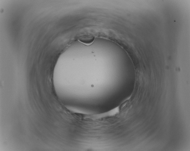 X0000076451489200610202321