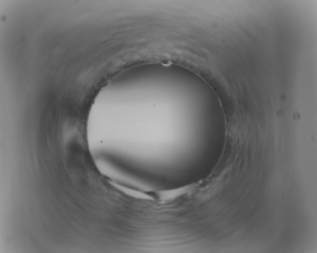 X0000076451490200610202321