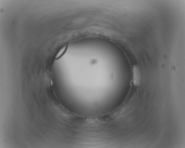 X0000076451491200610202321