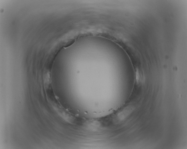 X0000076451492200610202321