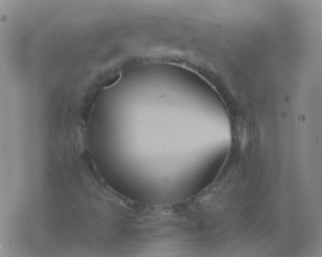 X0000076451493200610202321