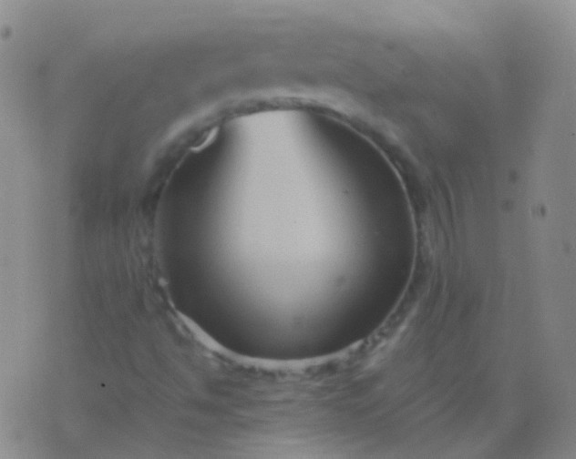 X0000076451494200610202321