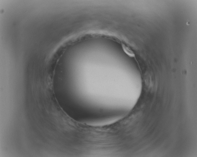 X0000076451495200610202322