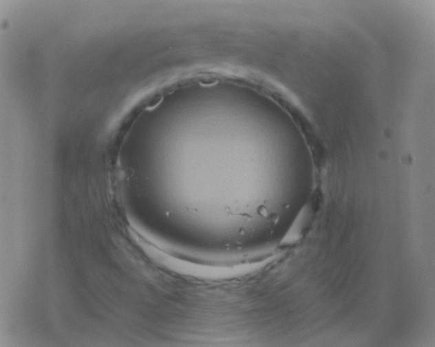 X0000076451496200610202322